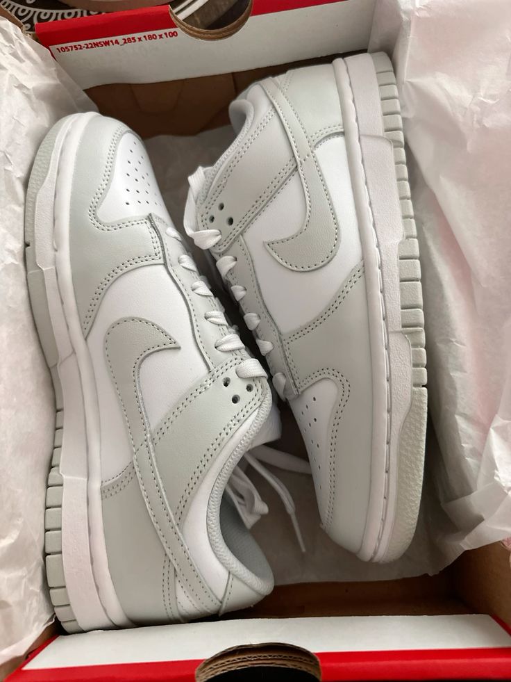 Nike Dunk Low Photon Dust